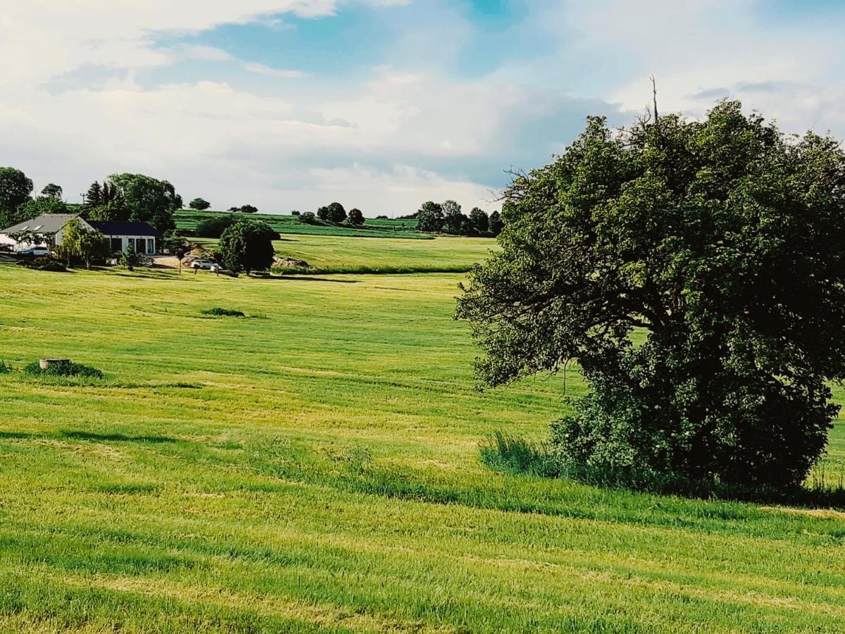 Babyky Apartmany Jindřichův Hradec Buitenkant foto